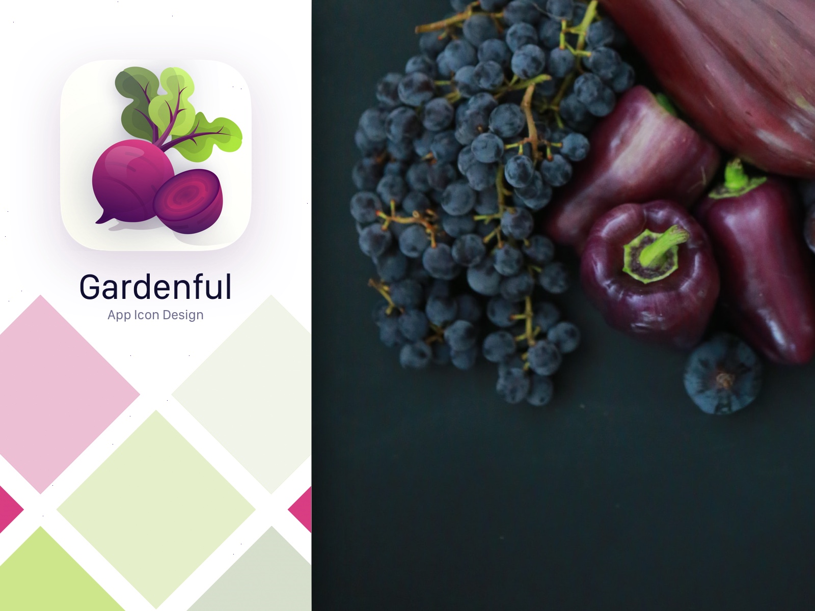 Icon of an app for gardening with a vector-illustrated beet root.